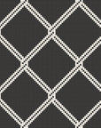 Chain Link
