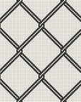 Chain Link