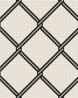 Chain Link
