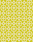Modern Lattice