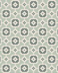 Other Lattice