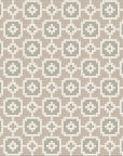Other Lattice